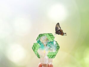 Fondimpresa Avviso 5/2024 – Finanziamenti per la formazione aziendale a sostegno della Green Transition e della Circular Economy